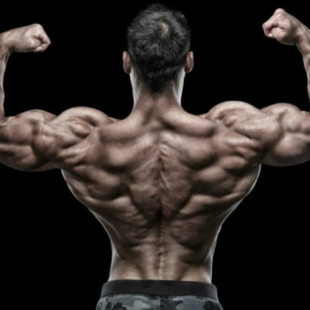 Очень сильный организм. Мускулы спины. Накаченная спина. Крылья мышцы. Накаченная спина мужская.
