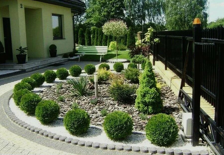 Можжевельник казацкий в миксбордере. Туя смарагд в ландшафте. Миксбордер туя барбарис. Дизайн туями фото ландшафтный. Туя западная даника живая изгородь.