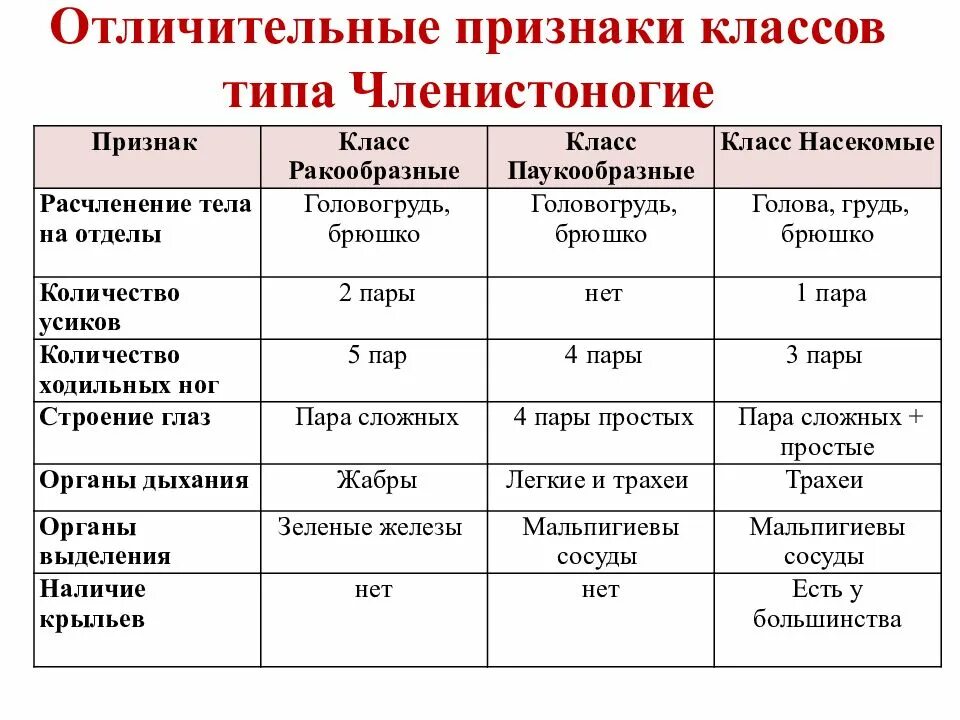 Отличительные признаки классов