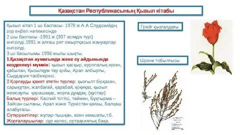 Дмитров пен Дмитров облысының жезөкшелері