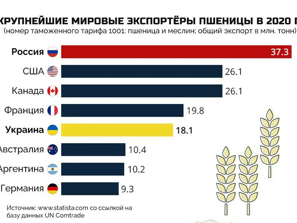 Мировые производители пшеницы. Экспортеры пшеницы. Крупнейшие экспортеры пшеницы. Крупнейшими в мире экспортерами пшеницы?. Страна крупнейший экспортер пшеницы.