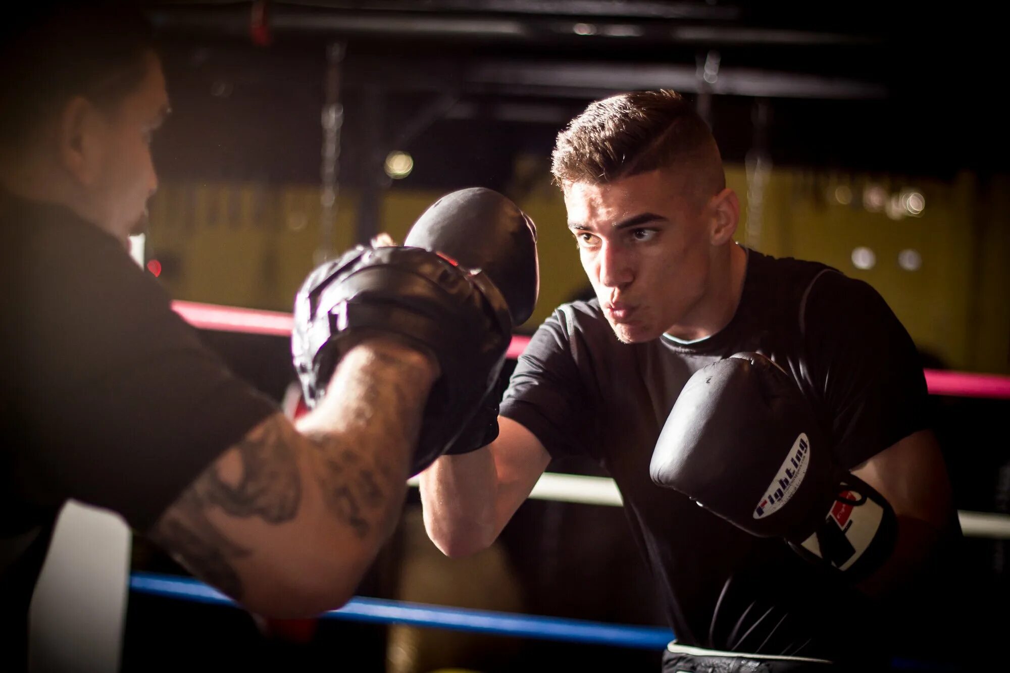 Study boxing