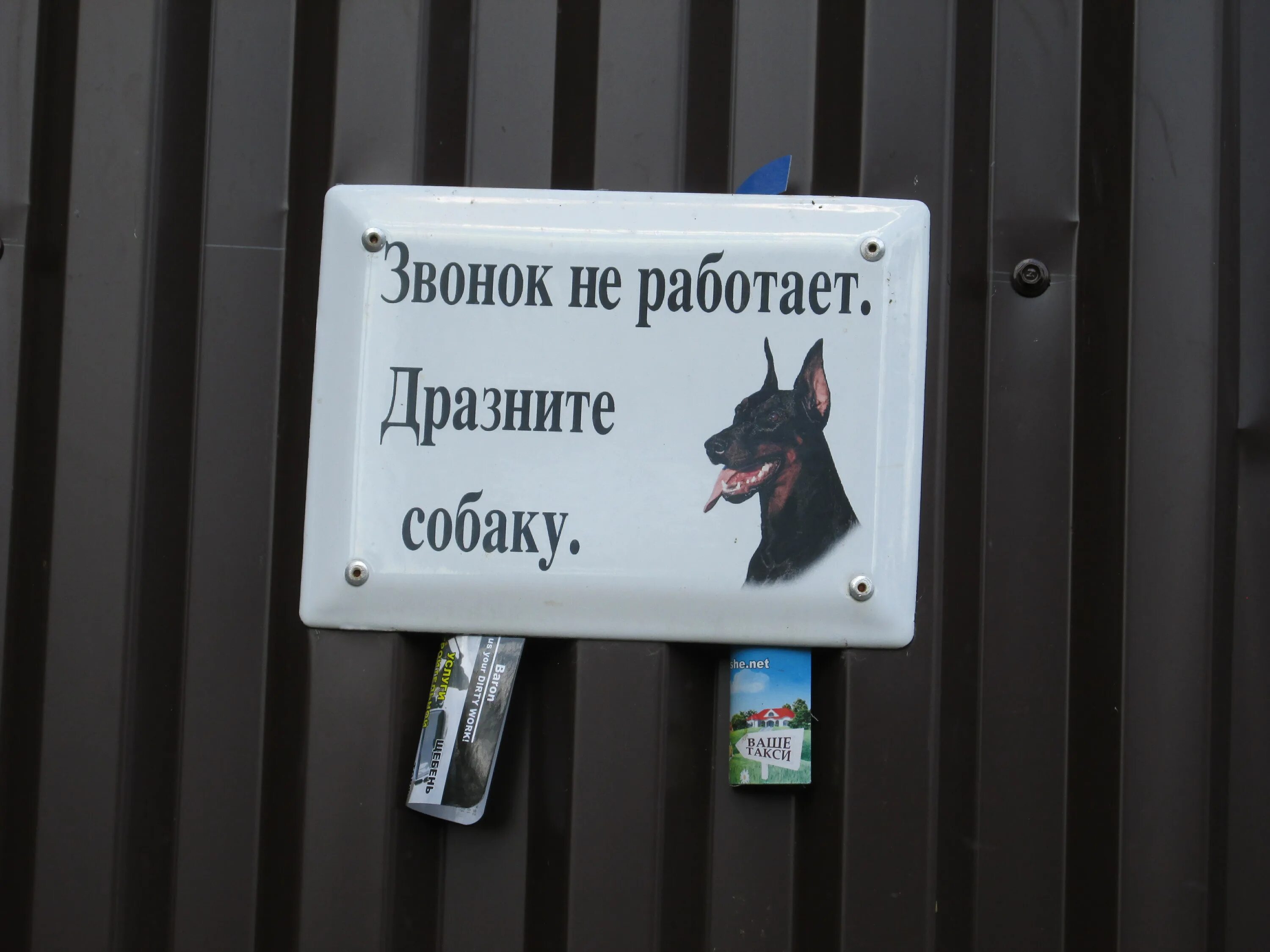 Позвони мне позвони позвони мне ради бога. Где звонок работает. Тренинг по телефонным продажам. Отвечать на телефонные звонки картинка. Где звонок работает.