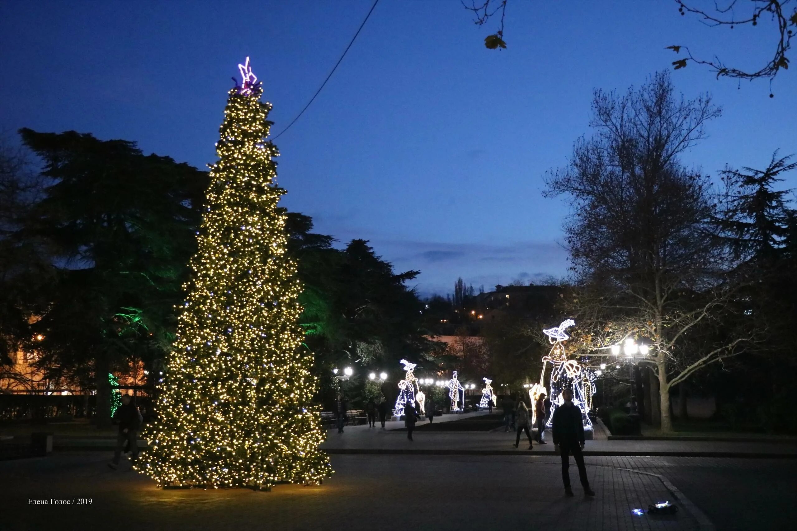 Елка на нахимова 2021 севастополь. Елка на нахимова 2021 севастополь. Новый год севастополь программа. Новогодняя елка в севастополе 2022. Новый год севастополь программа.