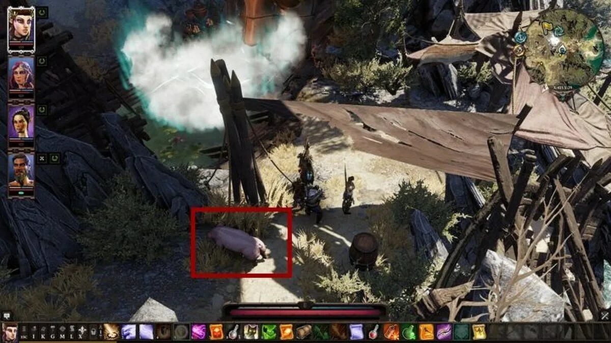 Амадия Divinity Original sin 2. Инкарнат дивинити 2. Святилище Амадии в Divinity Original sin 2. Пылающие свиньи Divinity Original sin 2 квест. Дивинити свиньи