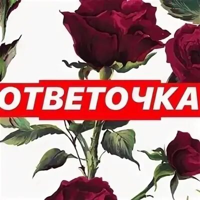 Ответочка
