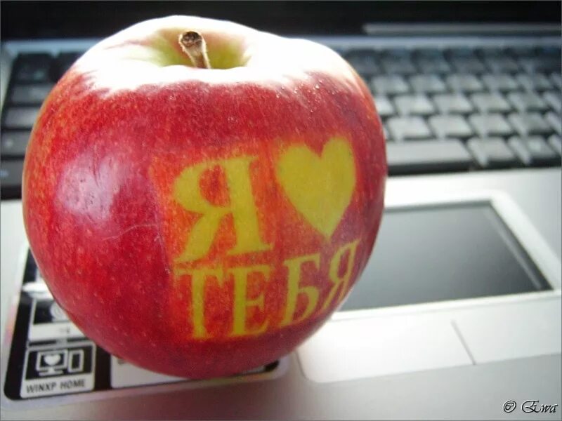 Яблоня любовь. Яблоко надпись. Люблю яблоки. Яблоко сердце. Яблоко с сердечком.