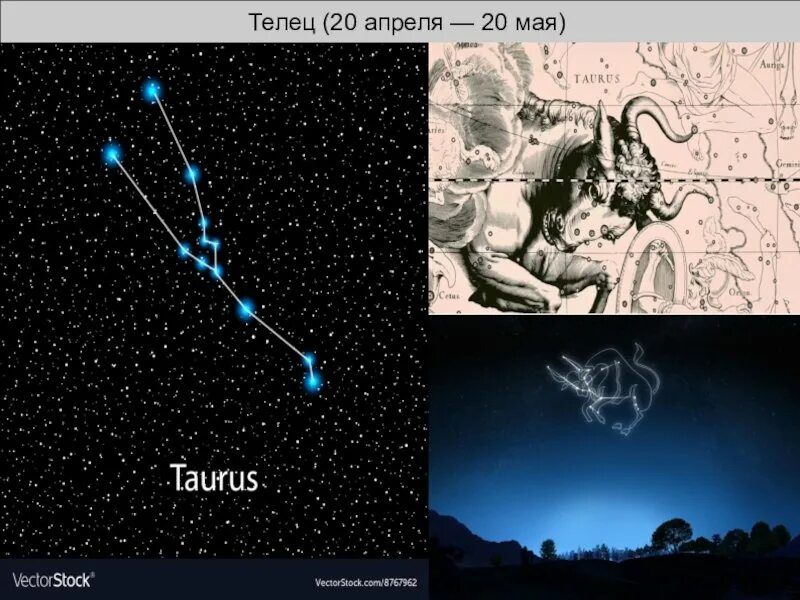 Телец 3 апреля 2024. Созвездие Телец звезды. Созвездие тельца Альфа и бета. Созвездие Телец схема. Созвездие Телец на небе.