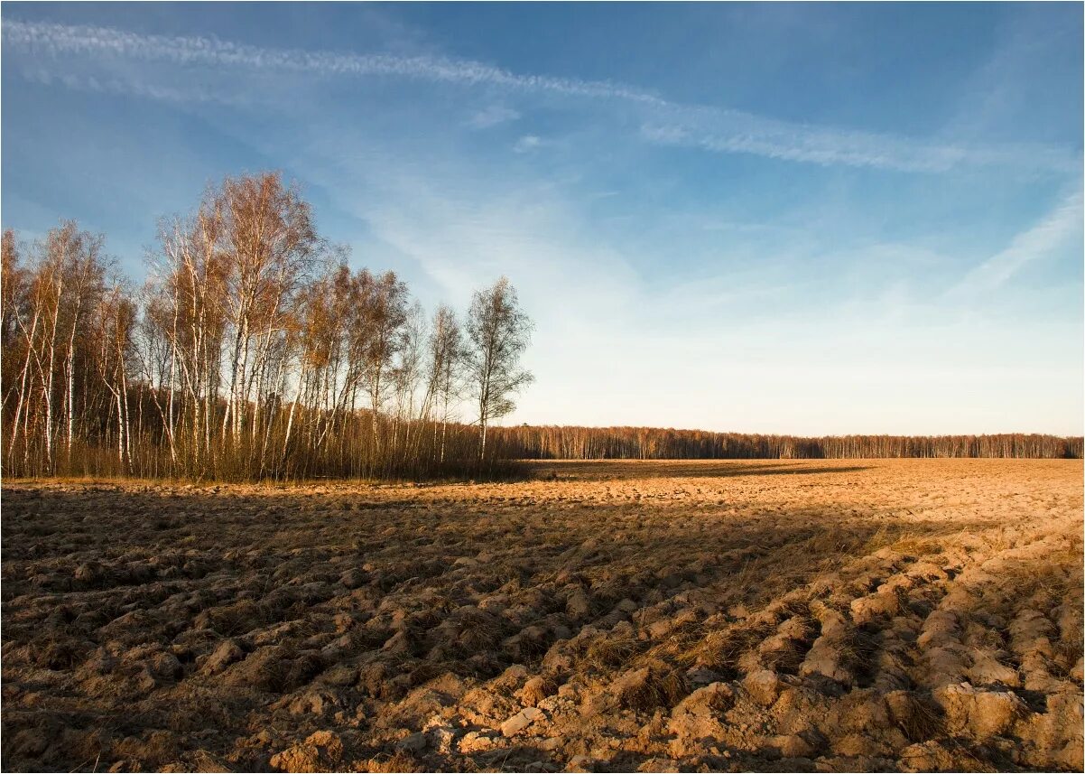 Конец сентября. Контрольный диктант конец сентября. С этой поры сады пустеют. Деревня вознесеновка. Рассказ антоновские яблоки бунин.