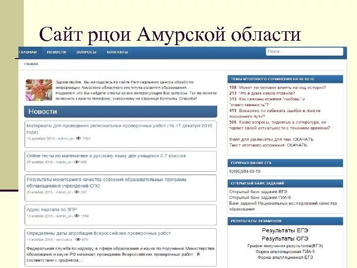 РЦОИ Амурской области. Информационные сайты Амурской области. РЦОИ Кострома.