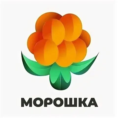 Морошка групп