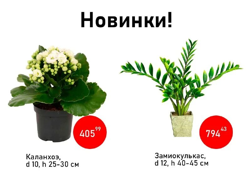 светофор стерлитамак график