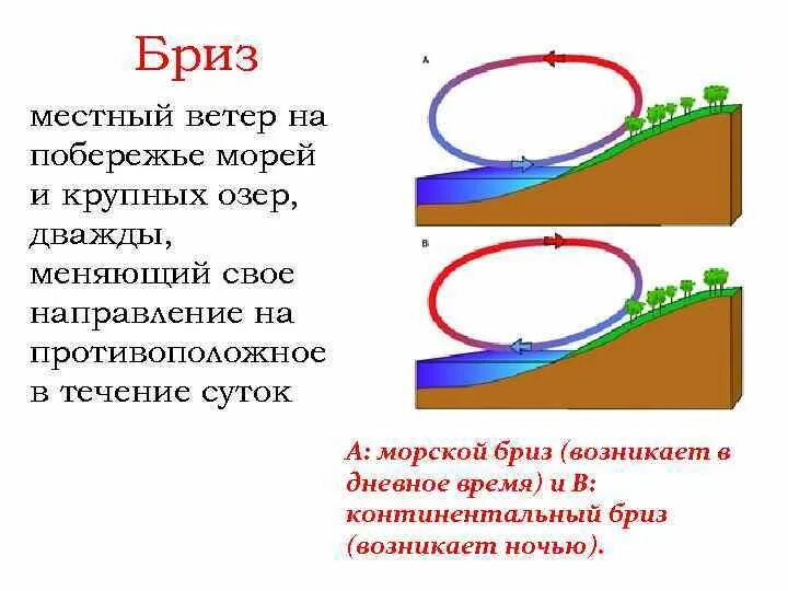 Бриз меняет направление дважды. Бриз ветер. Ветер меняет направление. Направление бриза. Почему Бриз меняет направления.