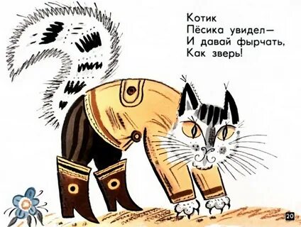 Вышел котик