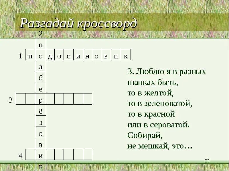 Разгадай кроссворд приятный. Разгадай кроссворд. Кроссворд про лес. Кроссворд береза. Кроссворд на тему береза.