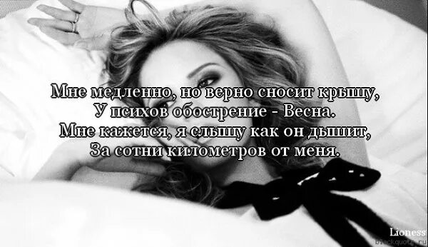 Цитаты про психов и любовь. Любовные муки. Любовь как ураган сносит голову если ты встретишь ее. Ты поешь так что сносит башку. Крышу сносит цитаты.