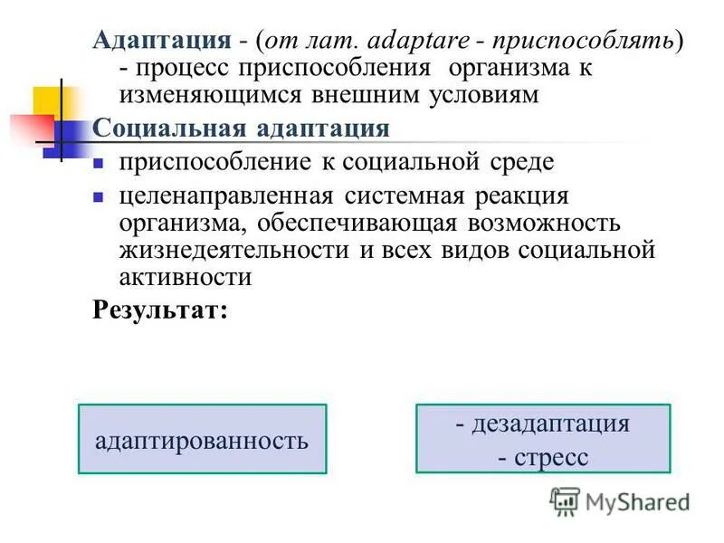 процесс приспособления человека к меняющейся социальной среде