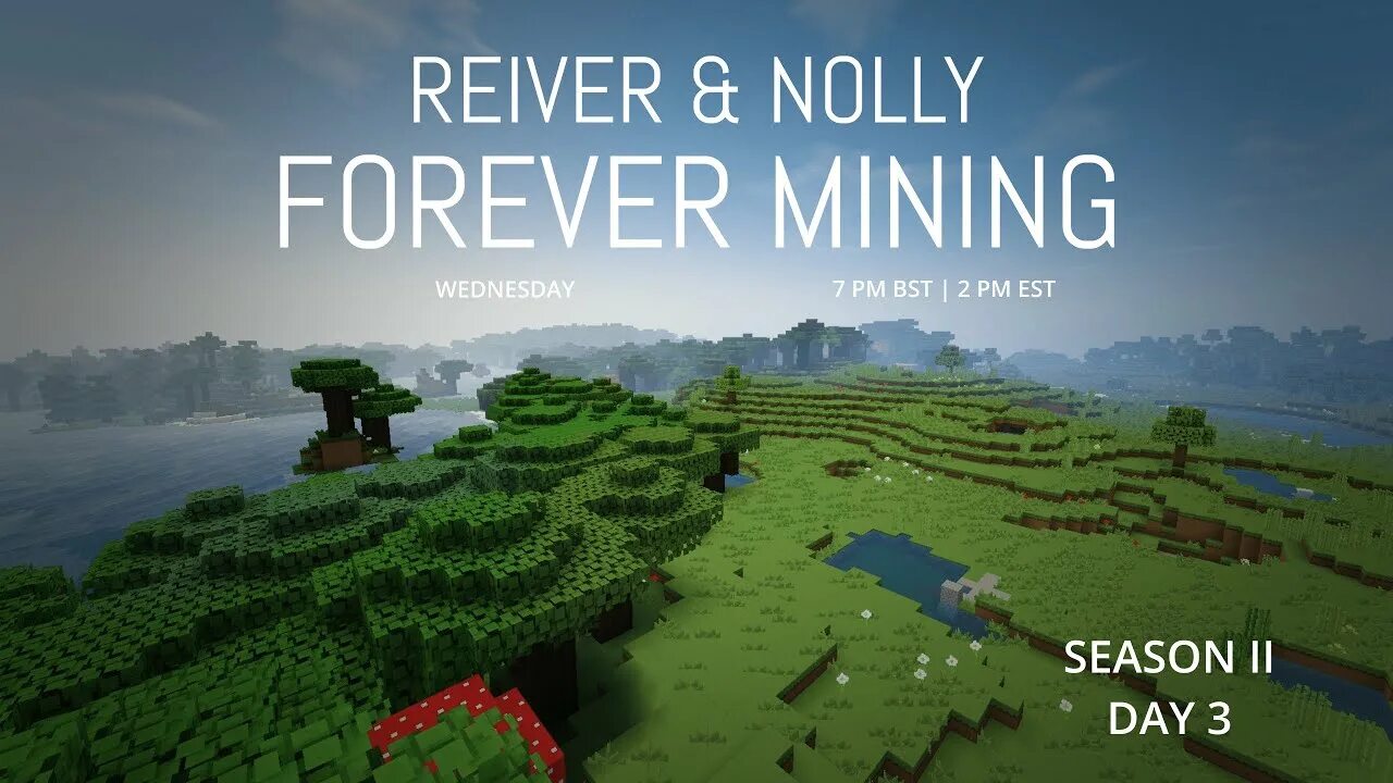 Minecraft net in