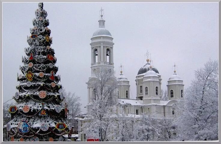 Фото елки в храме Украшение храма к Празднику Рождества Христова.