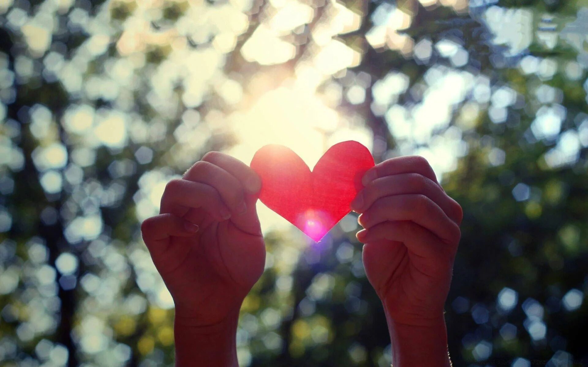 Я верю в твое сердце. Сердечко руками. Сеhlwt d Hef[. Красивое сердце в руках. Красивые сердечки.