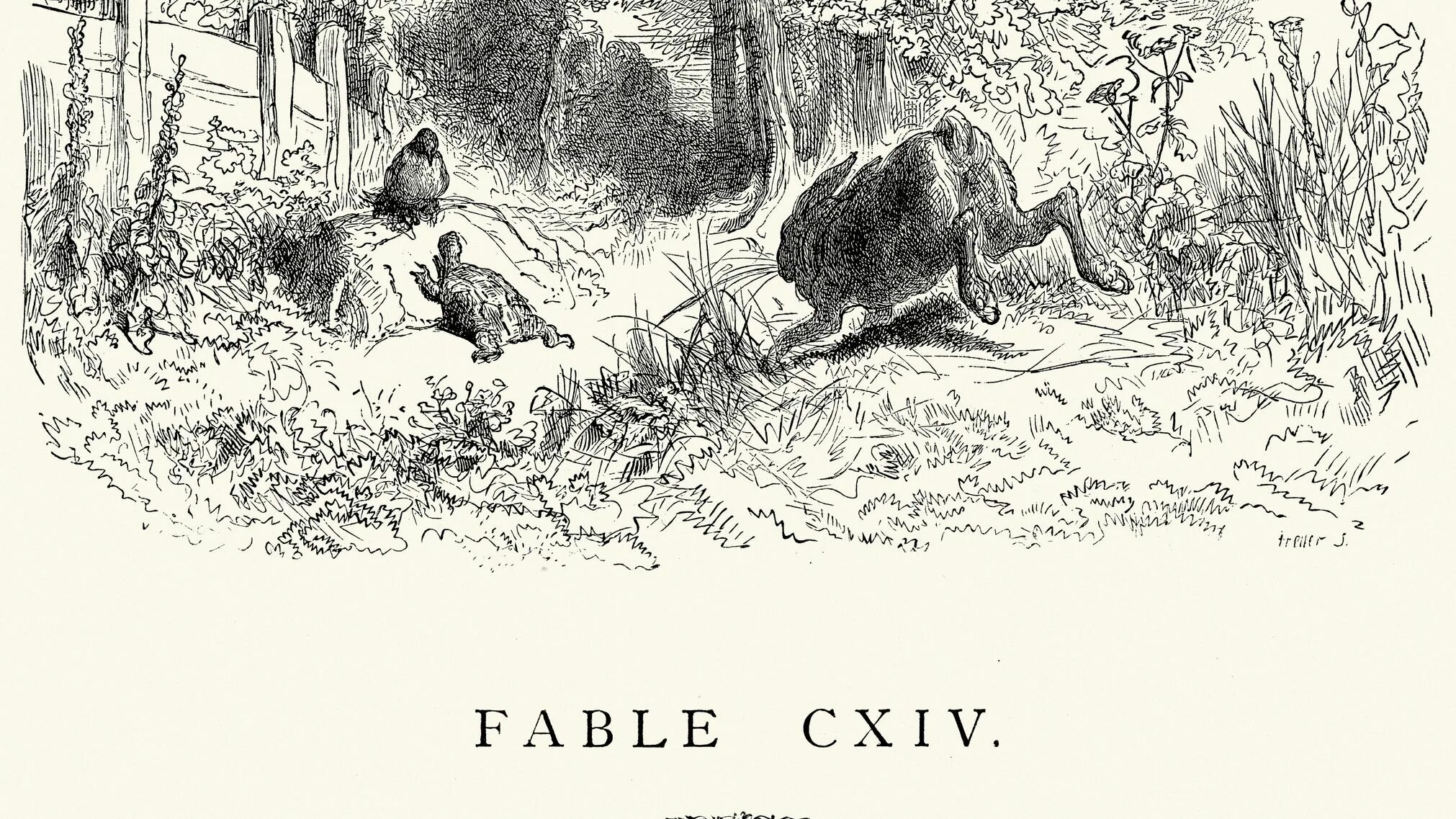 Басня михалкова заяц и черепаха. Заяц и черепаха басня сергея михалкова. Заяц и черепаха басня сергея михалкова. Басня черепаха и заяц с. В.