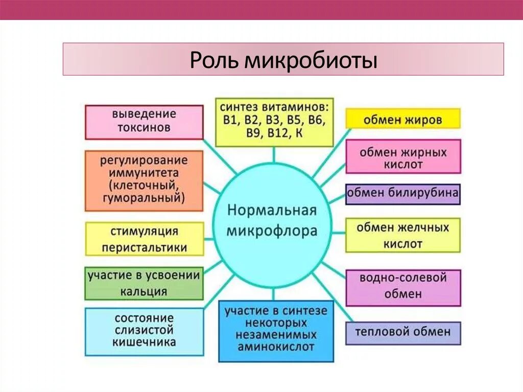 Функции нормальной микрофлоры организма. Функции нормальной микробиоты. Функции нормальной микрофлоры. Роль нормальной микрофлоры организма человека.