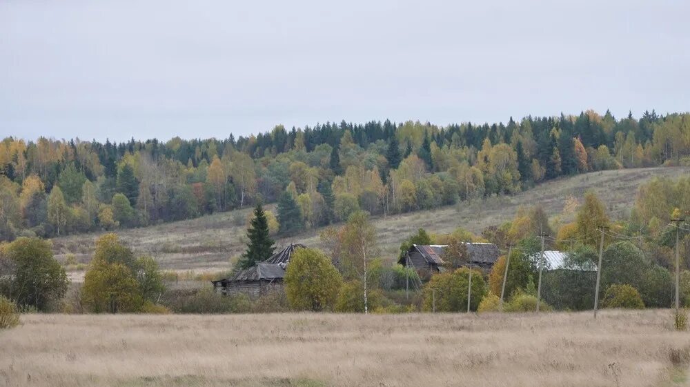 Дрегли новгородская область. Любытинский район Новгородской области. Шереховичи Новгородская область Любытинский район. Новгородская область Любытинский район деревня Луково. Любытинский р-н, д. Галица.