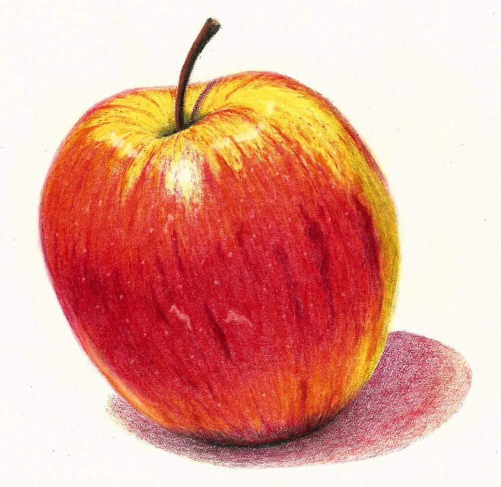 Яблоко нарисованное. Яблоко для рисования. Нарисовать яблоко. Рисунки цветными карандашами. Рисование цветными карандашами для детей.