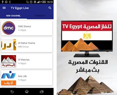 Egyptian live