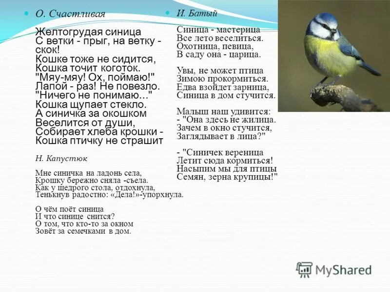 Песня я ловлю птичку. Стихи про птиц. Стишок про синицу. Стихотворение про синицу. Стих про синичку.