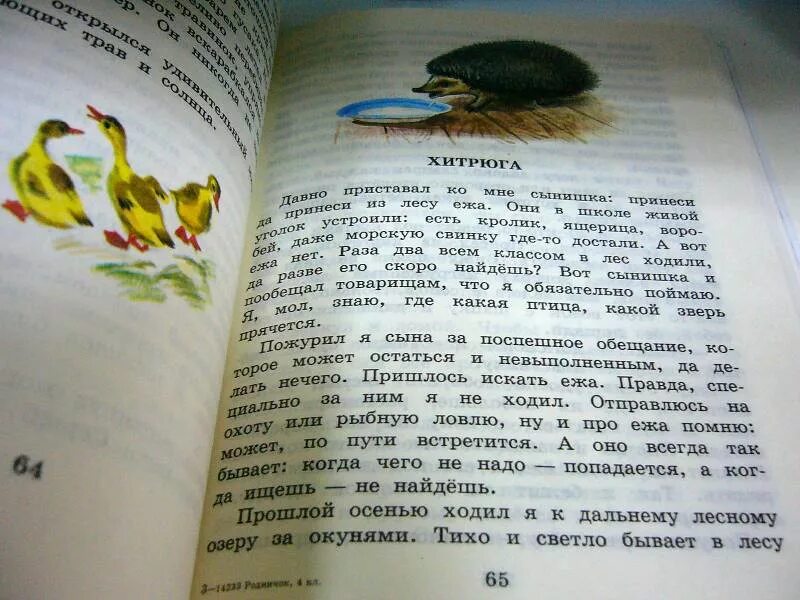 Родничок 4 класс. Носов хитрюга текст. Носов рассказ хитрюга текст. Е.Носов хитрюга читать.