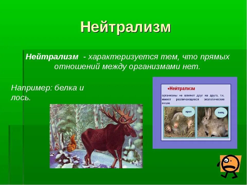 Какие отношения складываются между оленем и медведем. Биотические факторы среды нейтрализм. биотические факторы нейтрализм. тип взаимодействия нейтрализм. нейтрализм взаимоотношения.