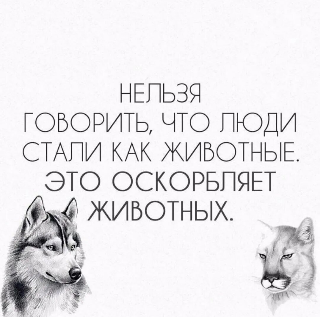 Некоторых животных люди издавна. Животные лучше людей цитаты. люди звери цитаты. цитаты про животных. фразы про животных.