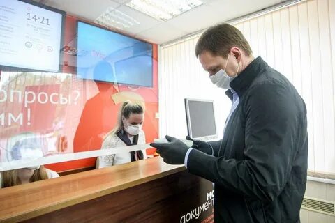 В мфц можно с собакой