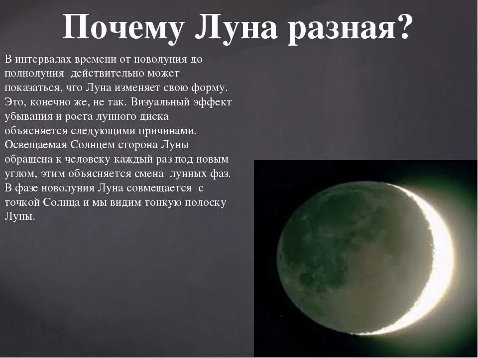 Когда видно луну. Форма Луны. Что бывает в полнолуние. Полнолуние интересные факты. В полнолуние Луна бывает:.