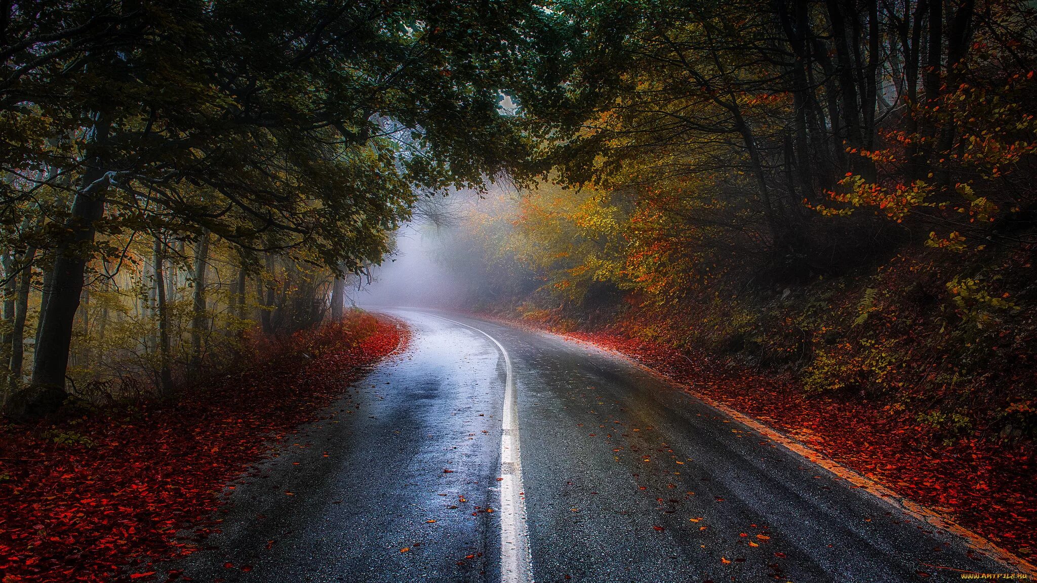 The trees fall across the road. Осенняя дорога. Дорога в осень. Осенняя дорога в лесу. Природа осень.