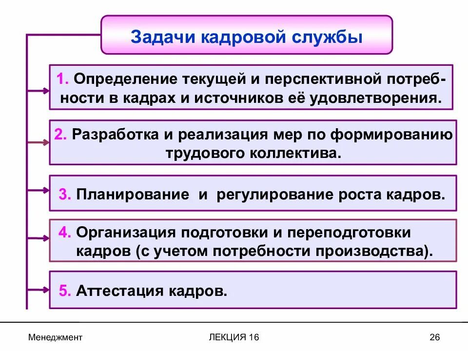 Функции кадровых служб организаций. Задачи и структура кадровой службы организации. Задачи кадровых служб предприятия. Основные задачи кадровой службы организации. Основные задачи кадровой работы.