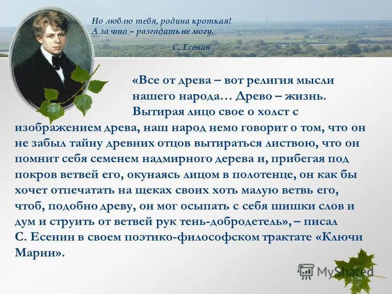 символы в стихах есенина. символы в стихах есенина. критики о есенине. "стихи". символы в стихах есенина.