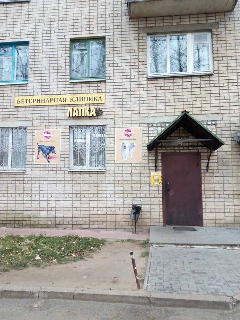 Клиника лапка