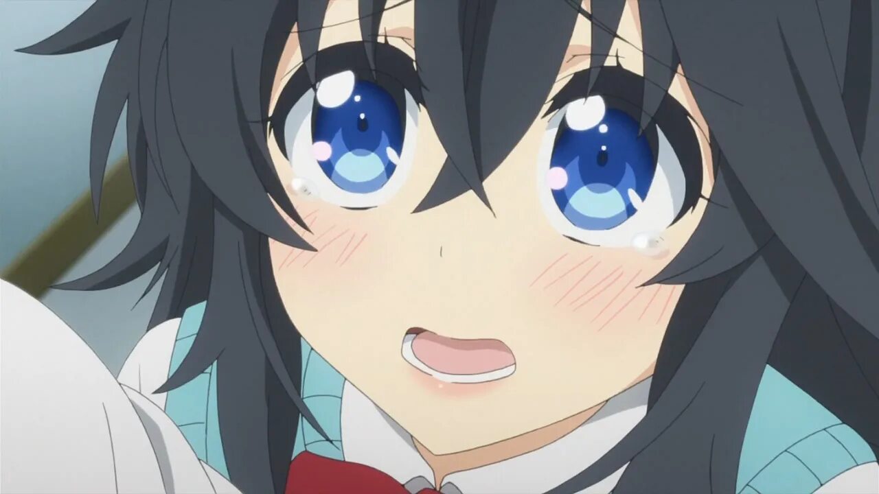 Netoge no yome wa onnanoko ja. Netoge no yome. netoge no yome wa onnanoko ja nai to omotta?. puppy eyes girl.