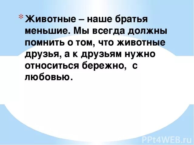 Названный братишка. Братья наши меньшие стихи. Почему мы называем животных братьями нашими меньшими. Почему животных называют братья наши меньшие. Стихи на тему братья наши меньшие.