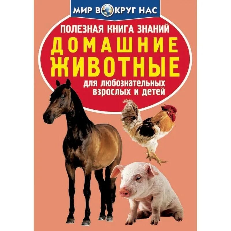 Емельянова расскажите детям о домашних животных. Книги о домашних животных. Книги о домашнизживотных. Книге одамашних жывотных. Книги о домашних животн.