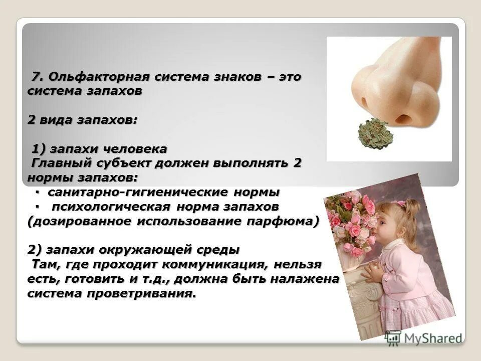 Сульфактарная система. Ольфакторная невербальная коммуникация. Ольфакторная коммуникация. Ольфакторная невербальная коммуникация. Ольфакторная система.