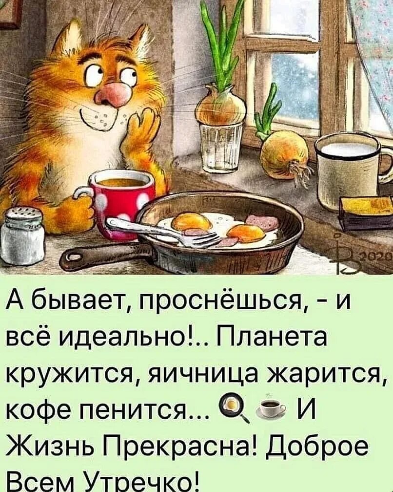 Доброе утро юмор. Доброе утро Веселые. Доброе утро шуточные. С добрым утром прикол.