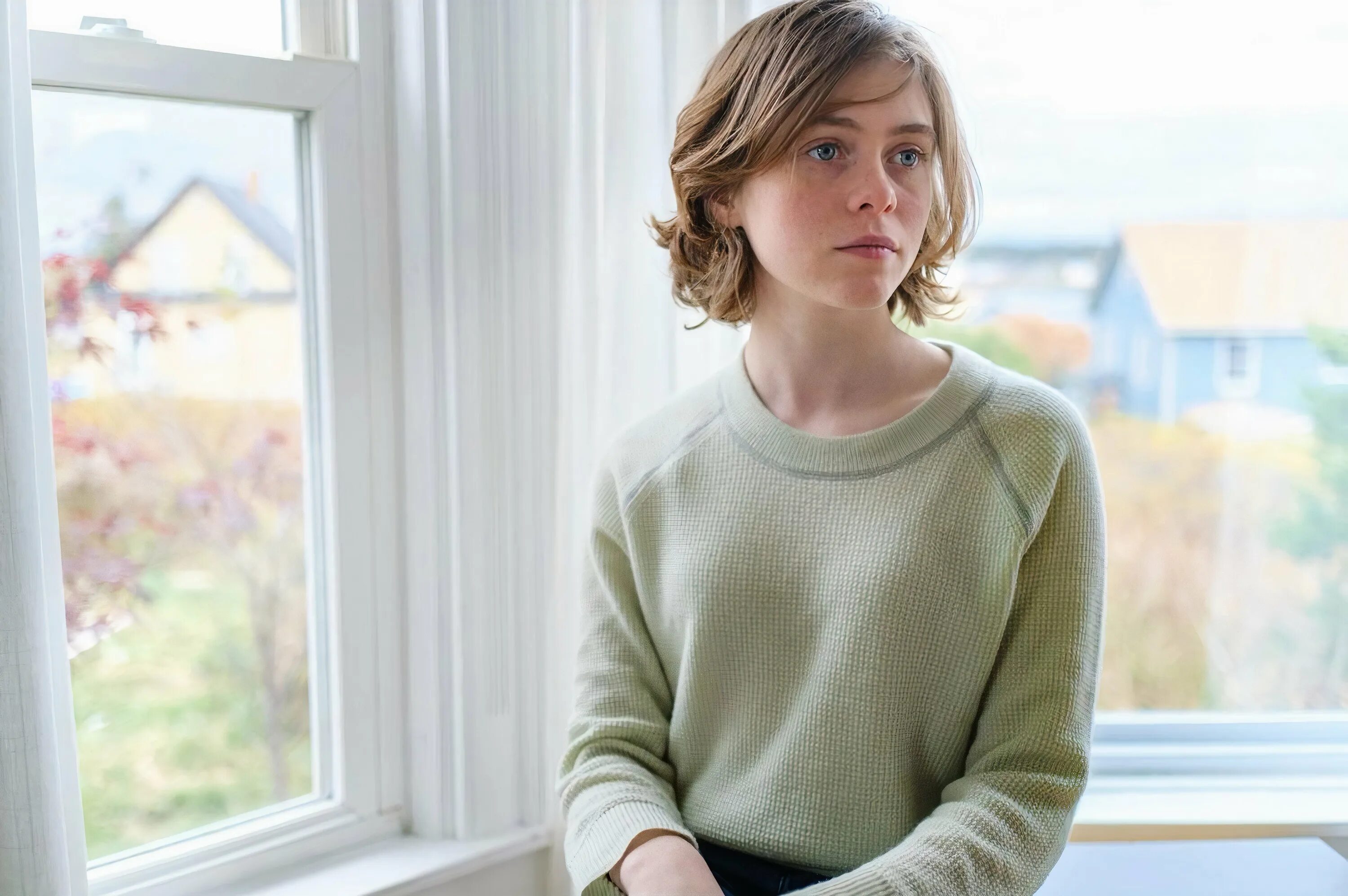 Sophia windows