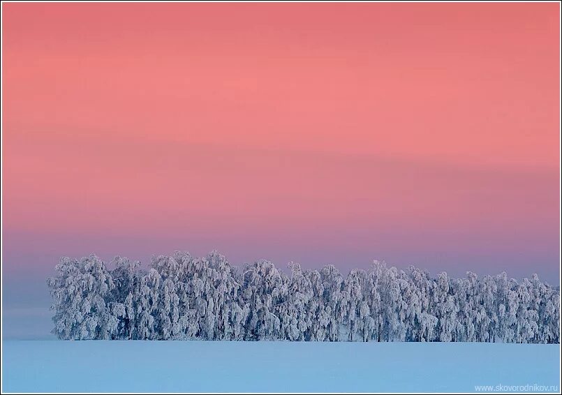 февральский пейзаж. наступила зима ранним утром. солнечное зимнее утро. наступила зима ранним утром. зимнее морозное утро.