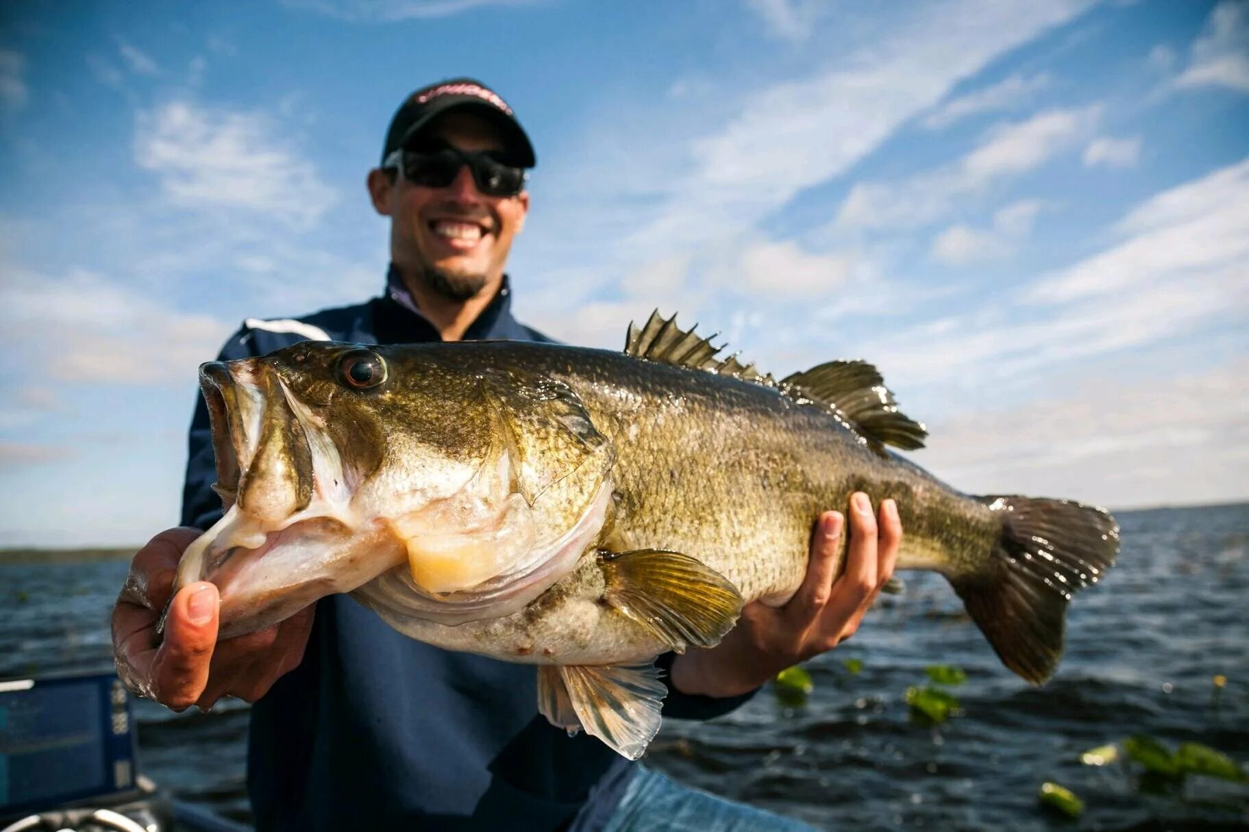 Надо басса. Largemouth Bass рыба. Окунь басс. Американский окунь. Американский окунь басс.