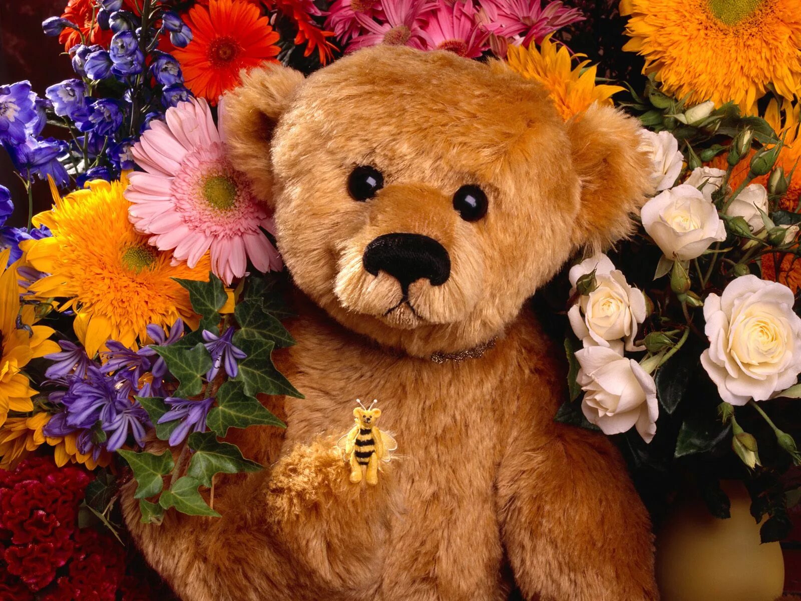 Тедди Беар цветы. Мишка с цветами. Медвежонок с цветами. Красивый Медвежонок с цветами.