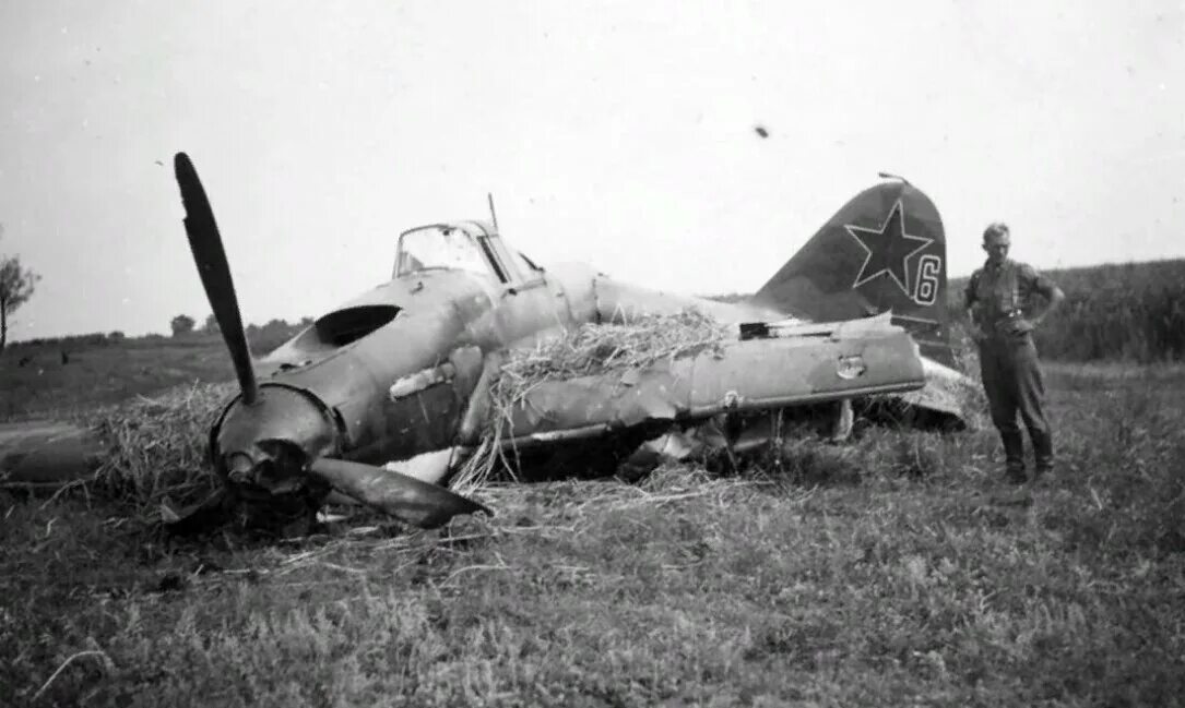 Подбитый самолет ил2. Сбитый ил 2. Ил-2 1943. Ил 2 1943 года.