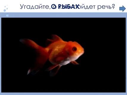 Загадай